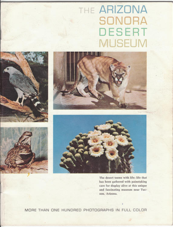 Arizona Sonora Desert Museum 1965 Guide front cover