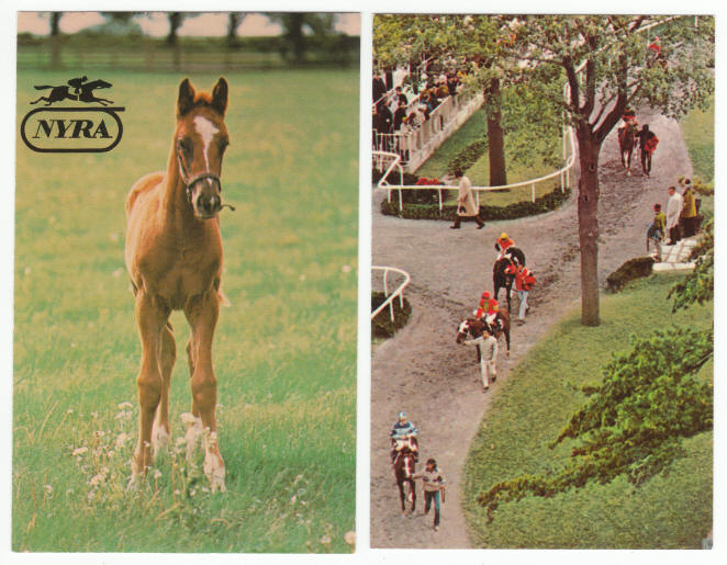 Belmont Race Track Post Cards
