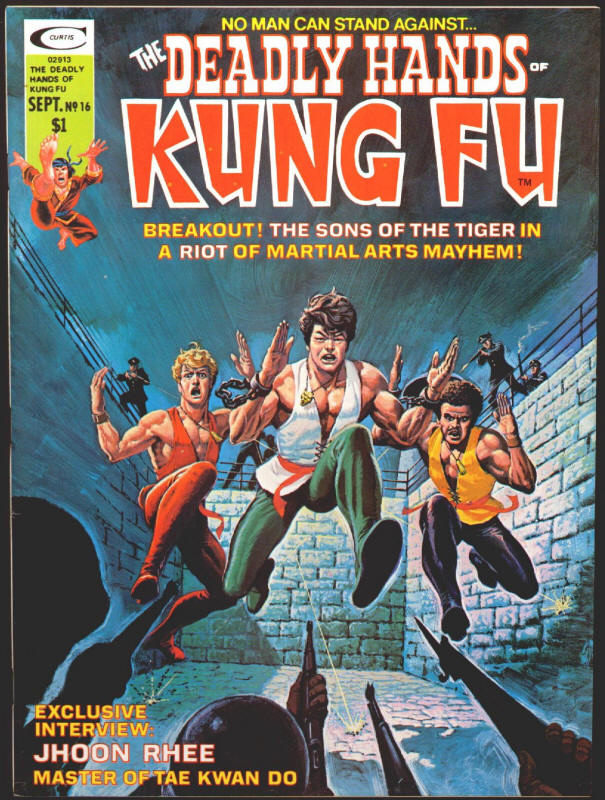 The Deadly Hands Of Kung Fu 16 front cover