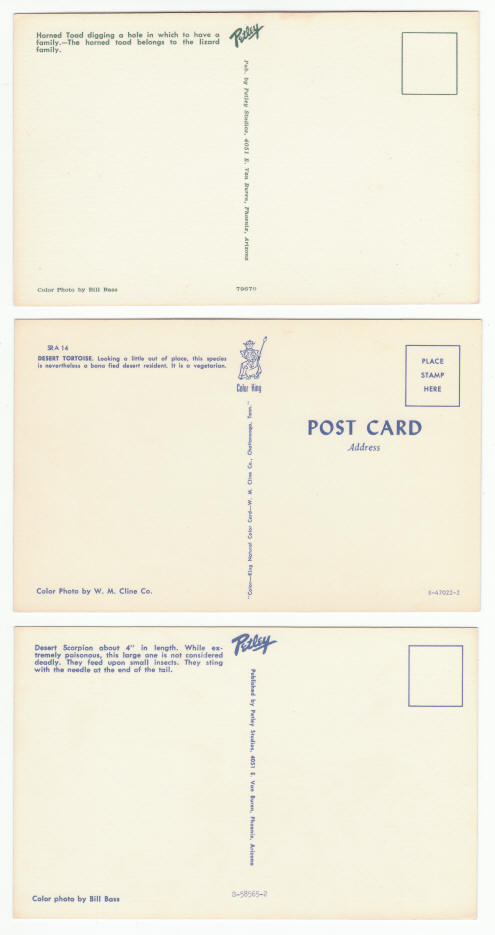 Arizona Sonora Desert Museum Post Cards