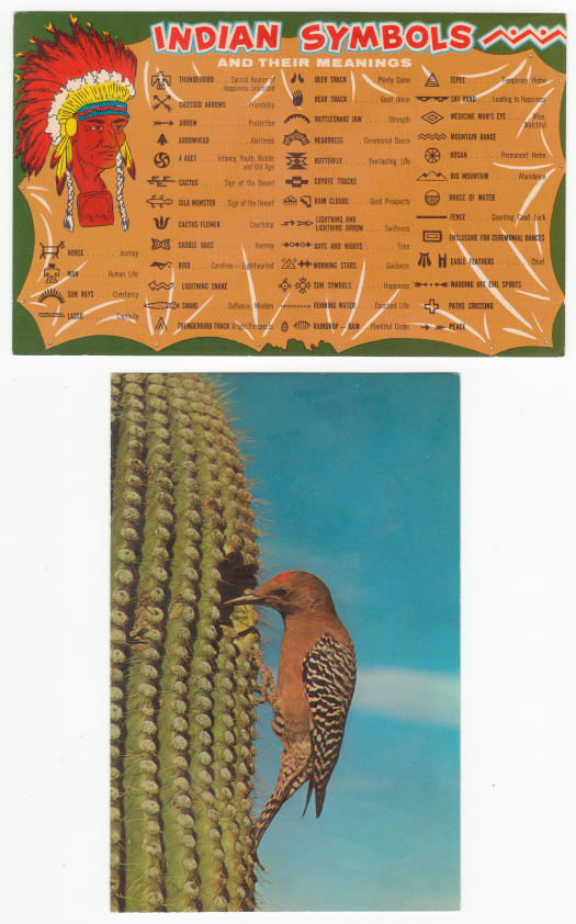 Arizona Sonora Desert Museum Post Cards