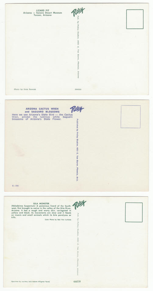 Arizona Sonora Desert Museum Post Cards