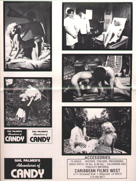 Gail Palmers Erotic Adventures Of Candy Pressbook back cover