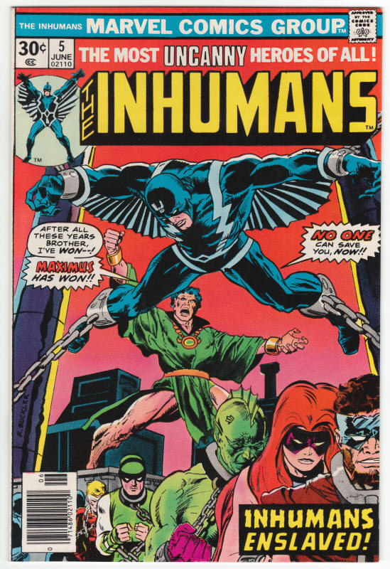 The Inhumans #5 front cover