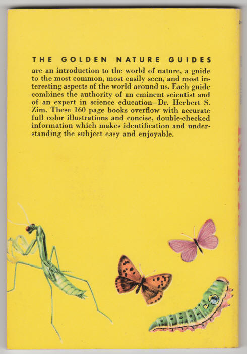 Insects Guide back cover