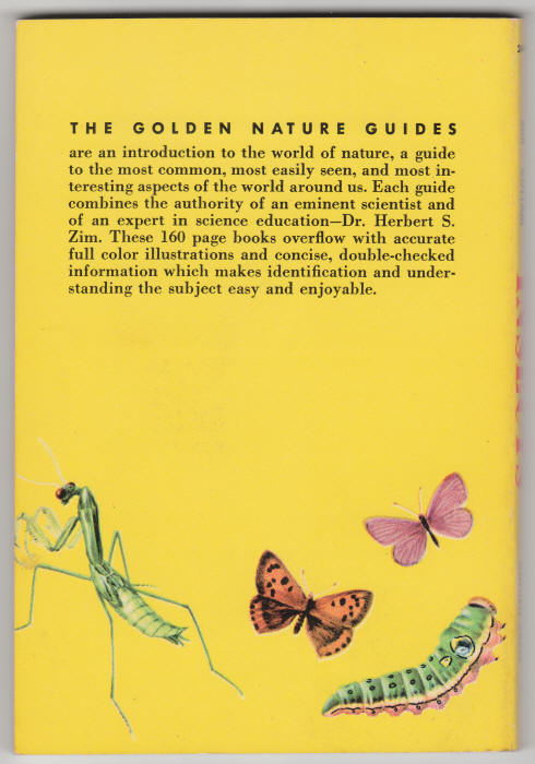 an illustrated guide to the mountain stream insects free download