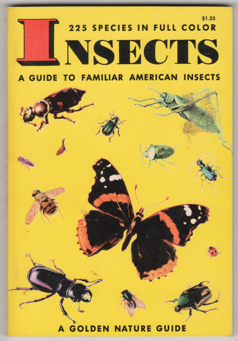 Insects Guide front cover