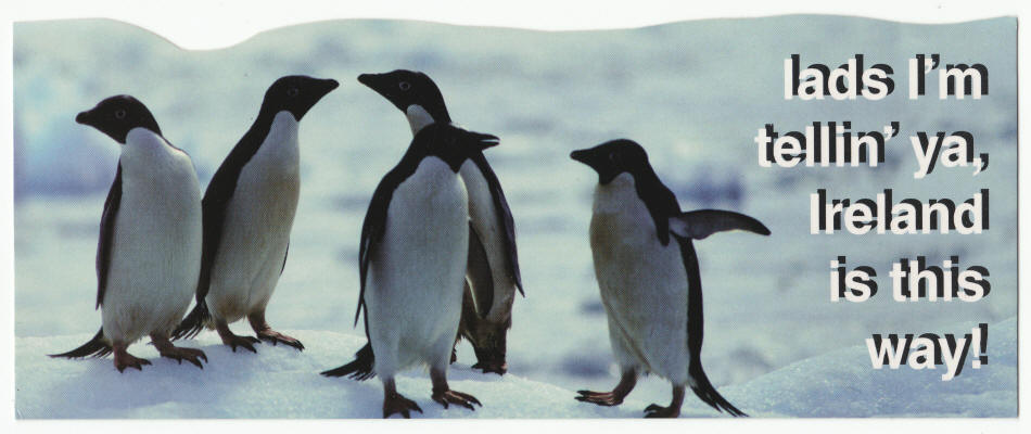 Ireland Lost Penguins Post Card