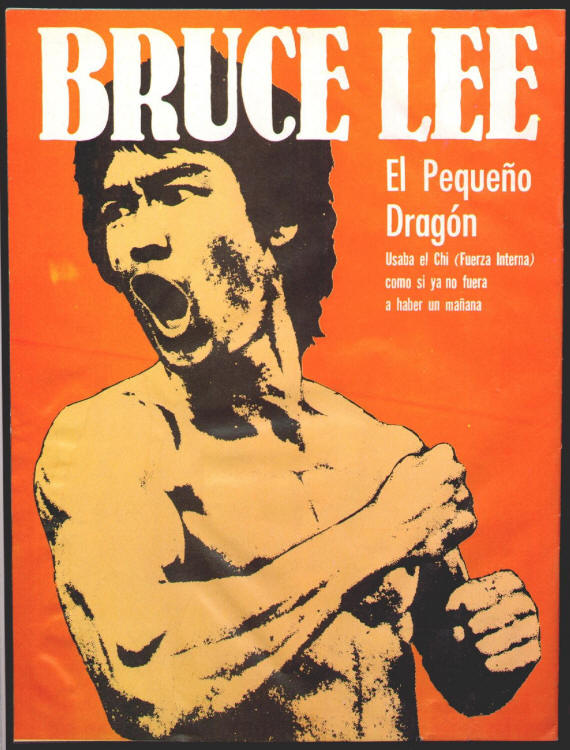 La Leyenda De Bruce Lee back cover