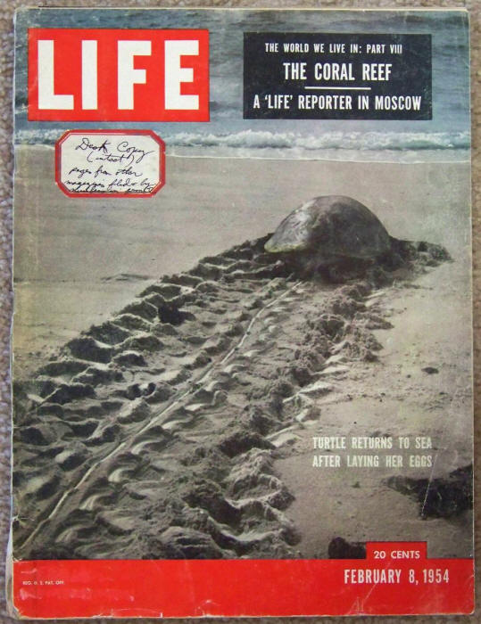 Life Magazine February 8 1954 Volume 36 #6