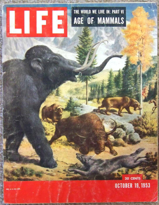 Life Magazine October 19 1953 Volume 35 #16