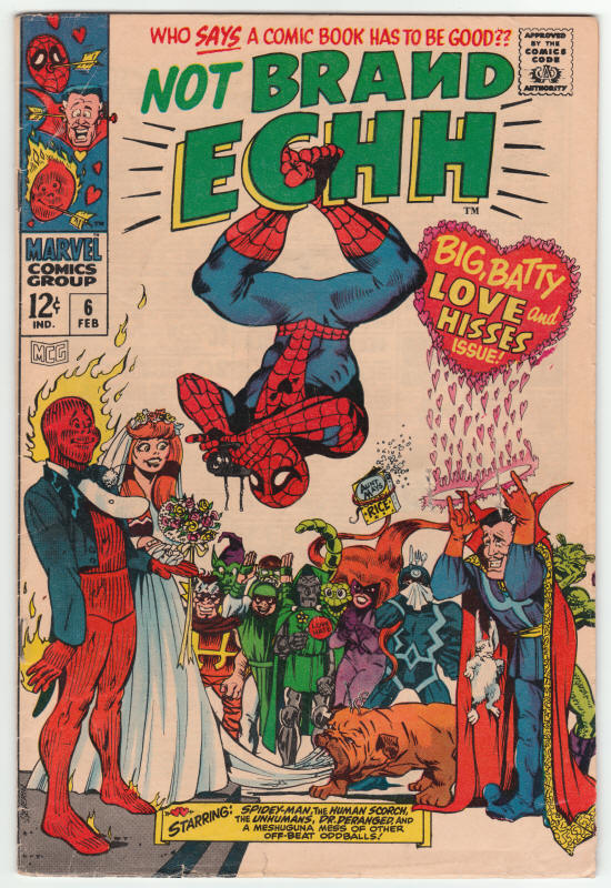 Not Brand Echh #6 front cover