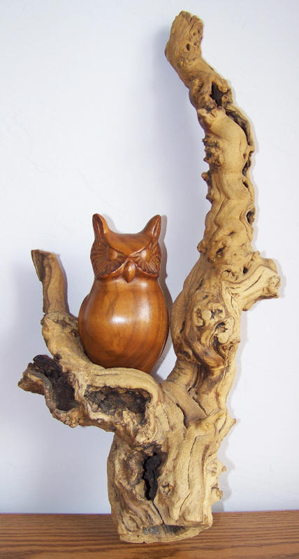 Black Walnut Owl Carving front