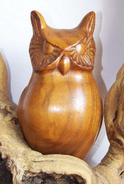 Black Walnut Owl Carving front