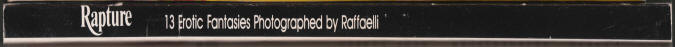 Rapture 13 Erotic Fantasies spine