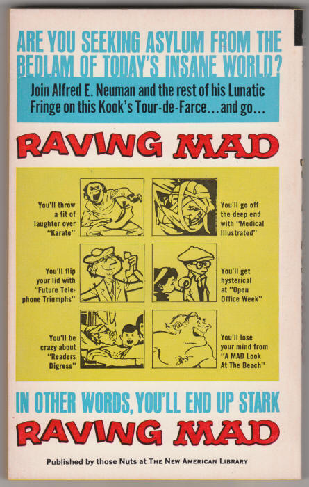 Raving Mad paperback back cover