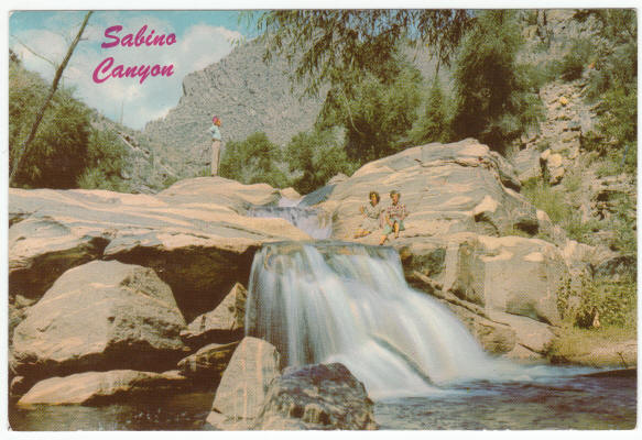 Sabino Canyon Tucson Arizona Post Card 1960s