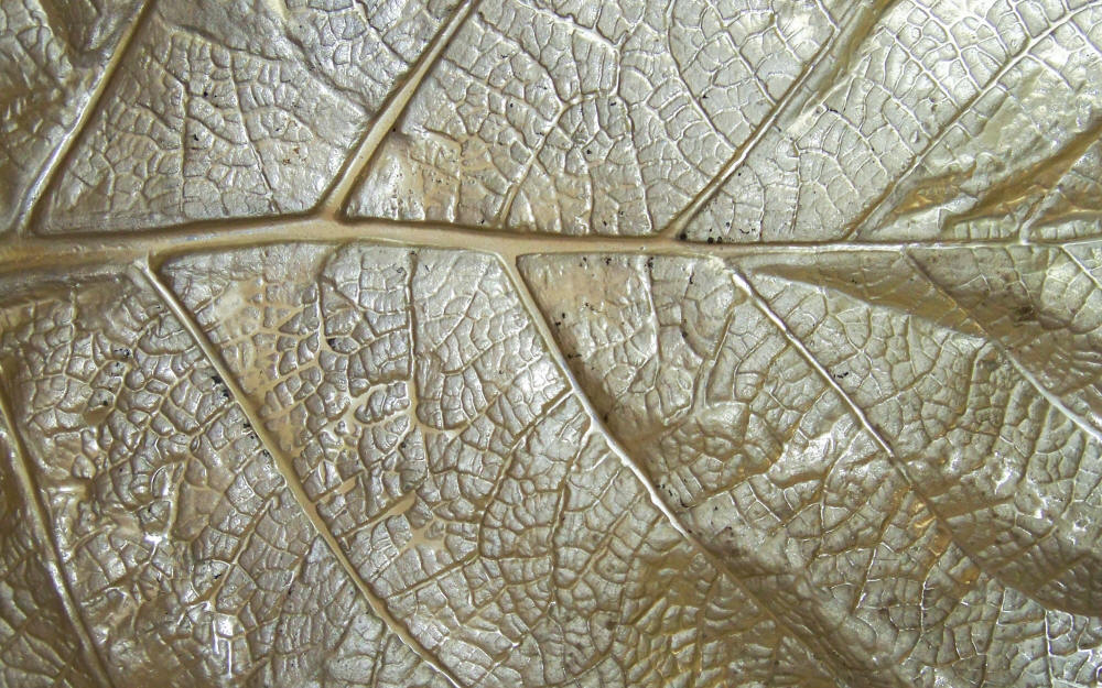 Sea Grape Leaf Bowl close up