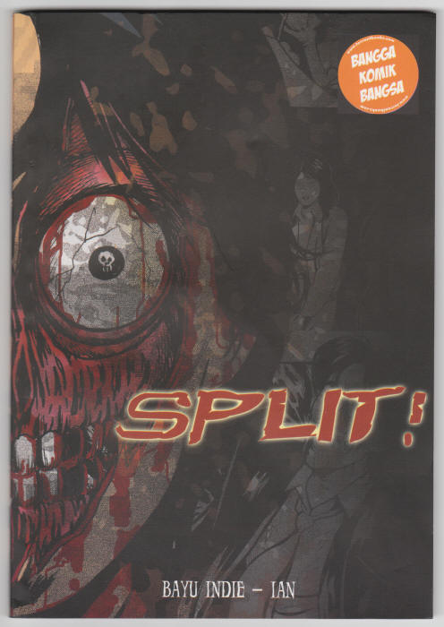 Split Graphic Novel front cover