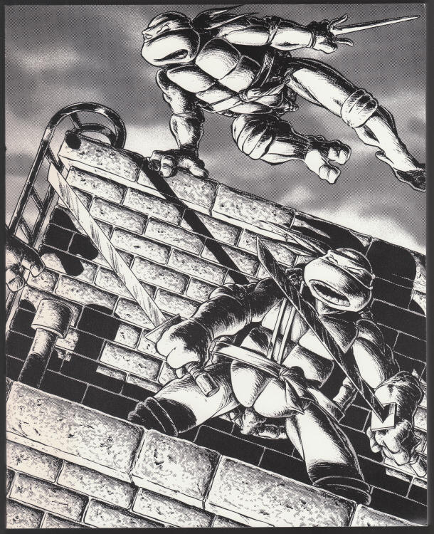Teenage Mutant Ninja Turtles Volume 1 front cover