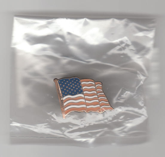 US American Flag Lapel Pin