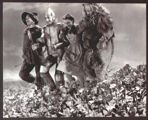 Wizard Of Oz Main Cast Photo Card #220-059