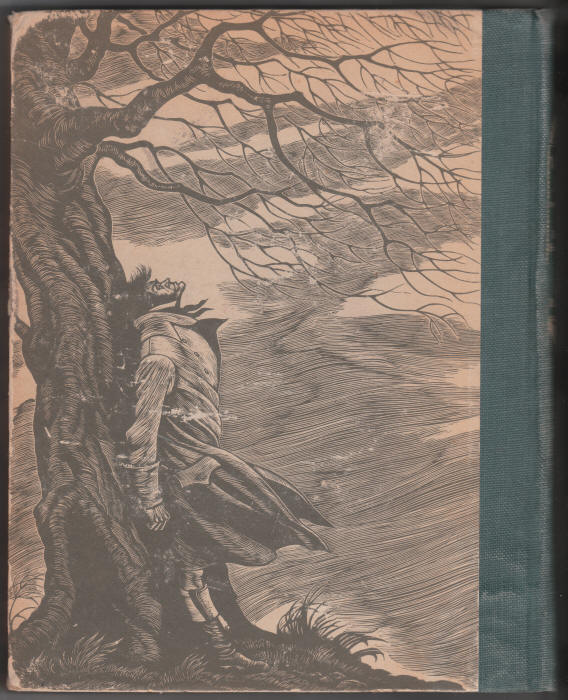 Wuthering Heights back cover